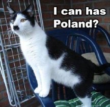 kitler.jpg