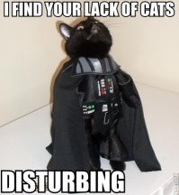 VaderMeow.jpg