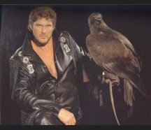 Hoff & Hawk.jpg