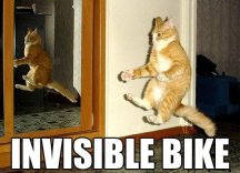 MeowMeow Bike.jpg