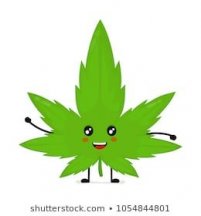 cute-funny-smiling-happy-marijuana-260nw-1054844801.jpg.cf.jpg