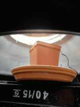 20190725_111642.gif