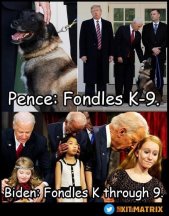 biden k9.jpg