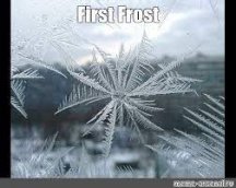 frost.jpg